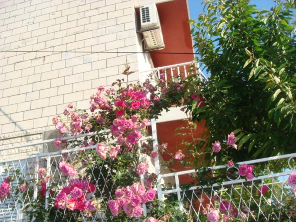 Apartments Lile Dubrovnik Exterior photo