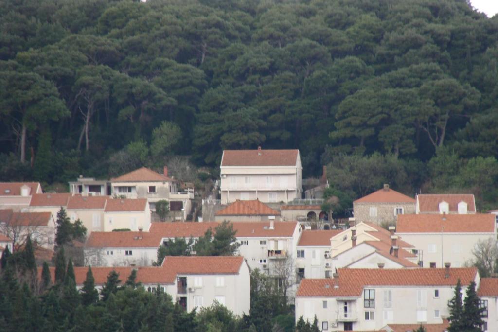 Apartments Lile Dubrovnik Exterior photo